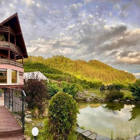 Pensiunea Armonia Nădăşelu Exteriér fotografie