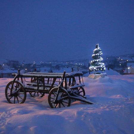 Hotel Pensiunea Armonia Nădăşelu Exteriér fotografie